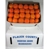 oranges